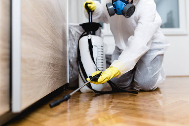Pest Prevention Services in Newport East, RI