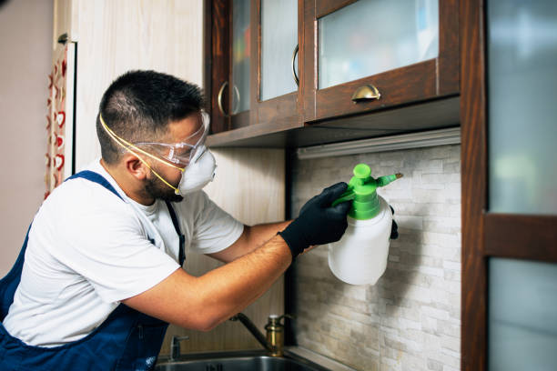 Best Residential Pest Control  in Newport East, RI