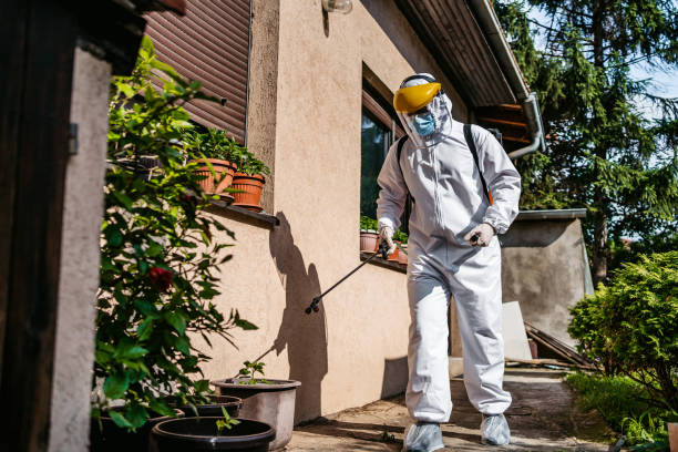Best Pest Prevention Services  in Newport East, RI