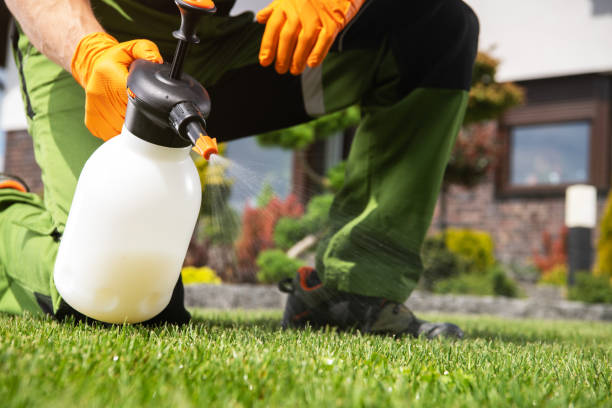 Best Insect Control  in Newport East, RI