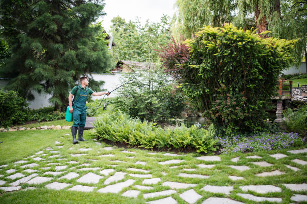 Best Residential Pest Control  in Newport East, RI