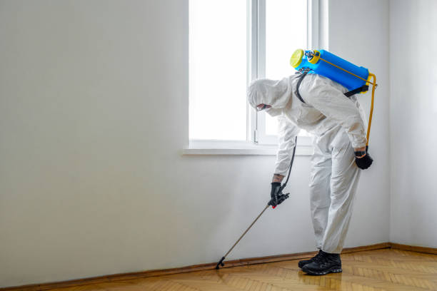 Best Affordable Pest Control Services  in Newport East, RI