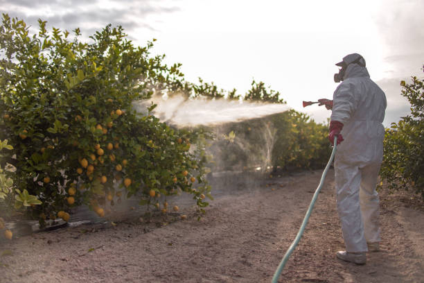 Best Pest Prevention Services  in Newport East, RI