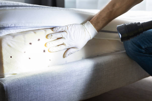 Best Best Pest Control Companies  in Newport East, RI