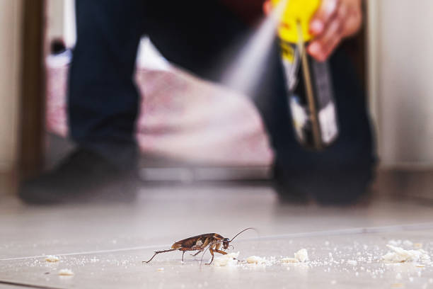 Best Best Pest Control Companies  in Newport East, RI