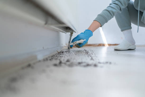 Best Bed Bug Extermination  in Newport East, RI