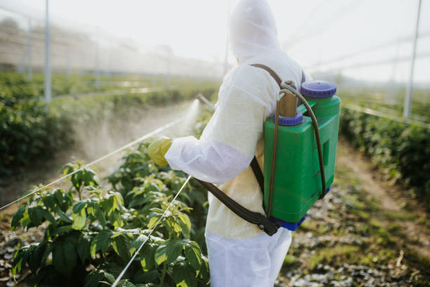Best Flea Control Services  in Newport East, RI